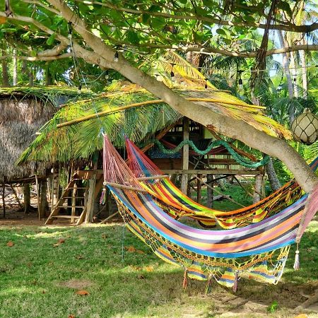 Derek'S Place Eco-Lodge 리틀 콘 아일랜드 외부 사진