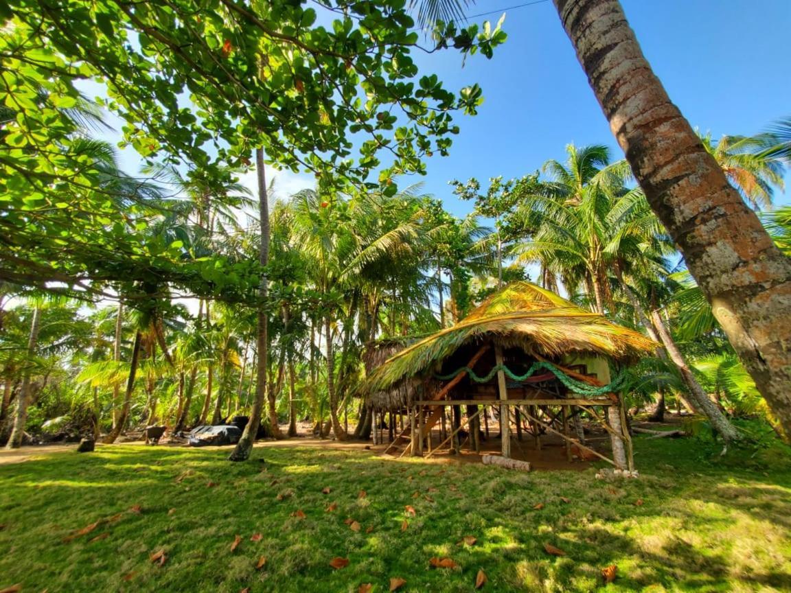 Derek'S Place Eco-Lodge 리틀 콘 아일랜드 외부 사진