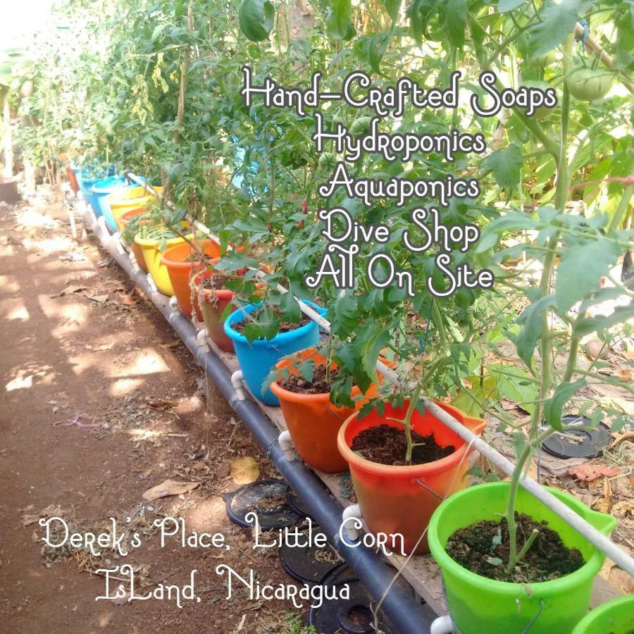 Derek'S Place Eco-Lodge 리틀 콘 아일랜드 외부 사진