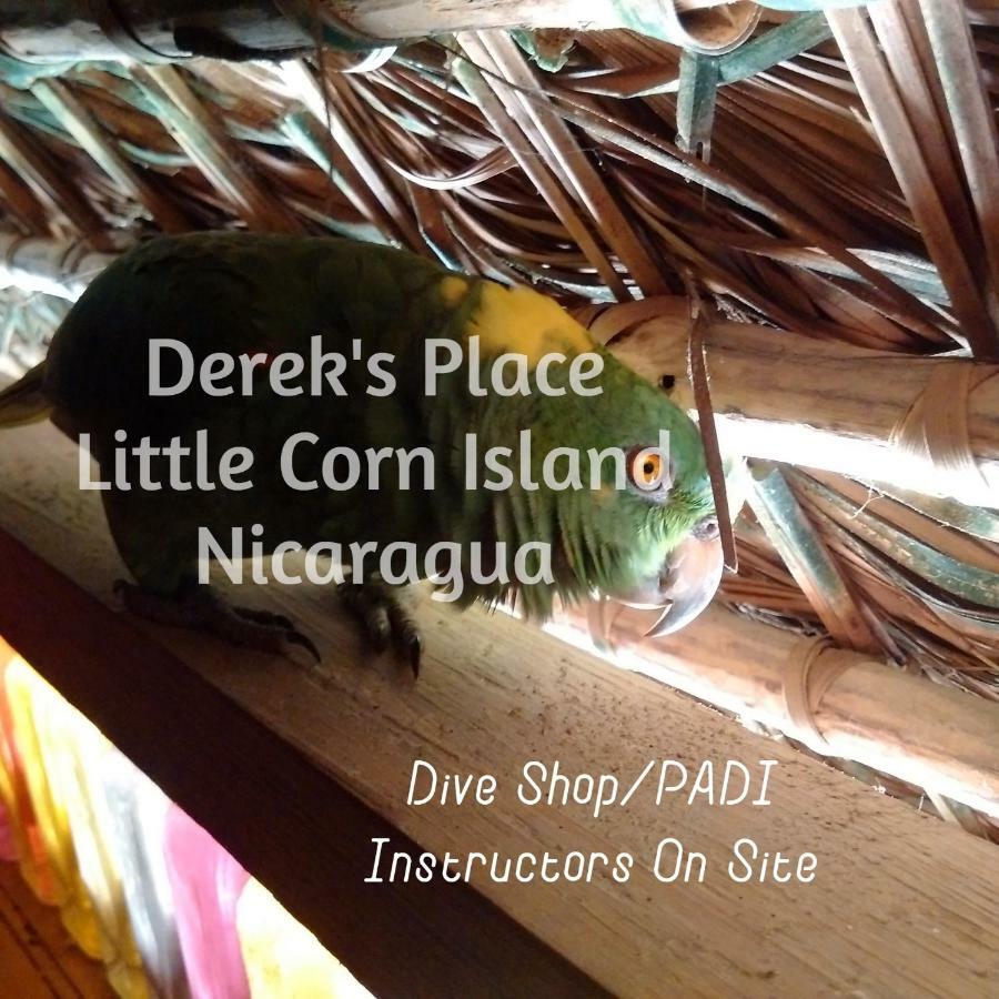 Derek'S Place Eco-Lodge 리틀 콘 아일랜드 외부 사진